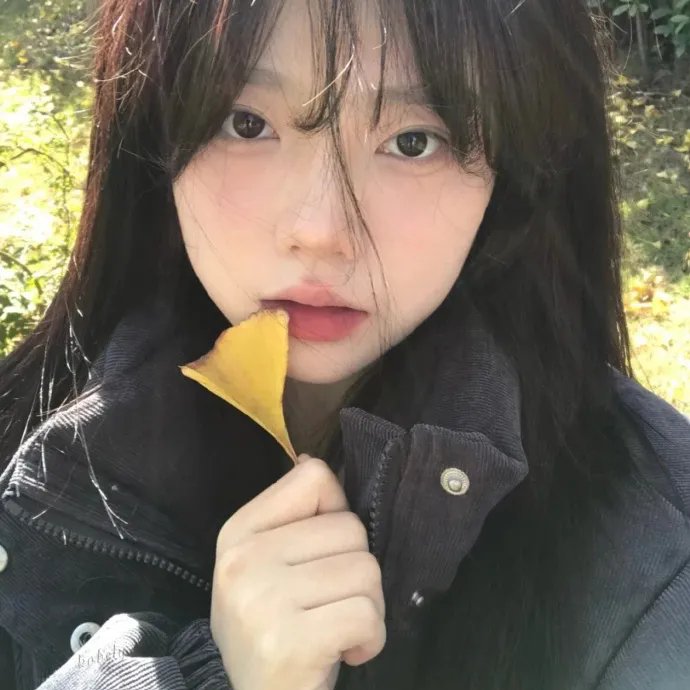 妮雯卡的黑箱日志